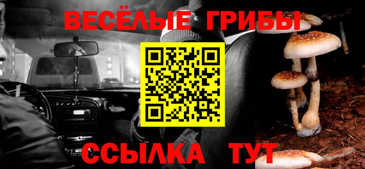 Галлюциногенные грибы прущие грибы Кировск