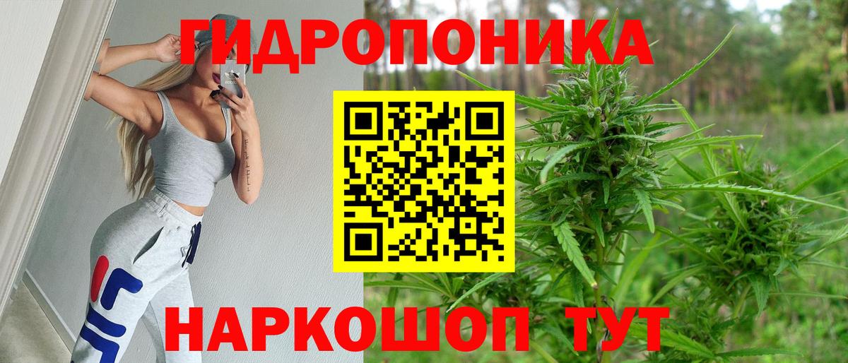 МАРИХУАНА ГИДРОПОН  Вход с VPN  Канабис план  Кировск  Каннабис White Widow 
